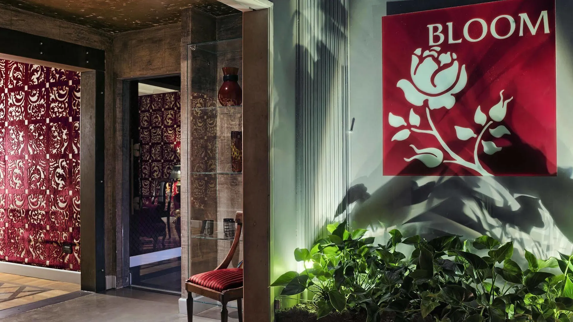 *** Bed & Breakfast B&B Bloom Settimo Cielo Venice Italy